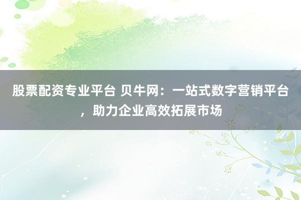 股票配资专业平台 贝牛网：一站式数字营销平台，助力企业高效拓展市场