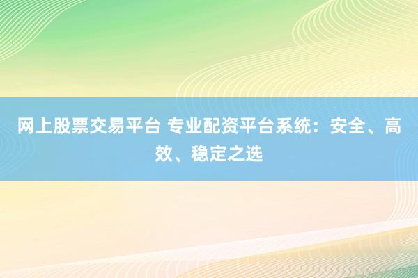 网上股票交易平台 专业配资平台系统：安全、高效、稳定之选