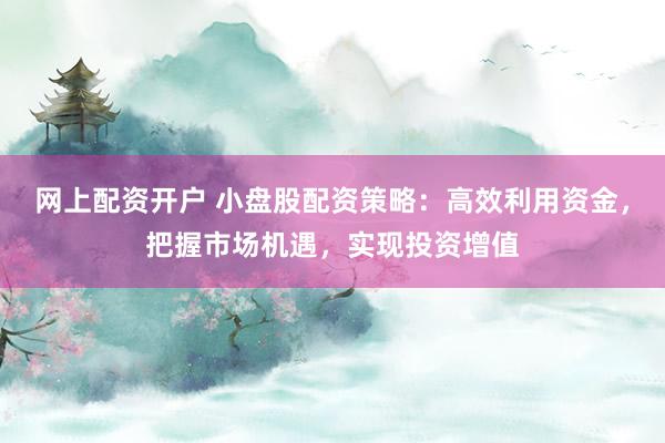 网上配资开户 小盘股配资策略：高效利用资金，把握市场机遇，实现投资增值