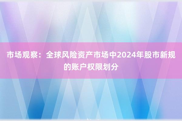 市场观察:全球风险资产市场中2024年股市新规的账户权限划分