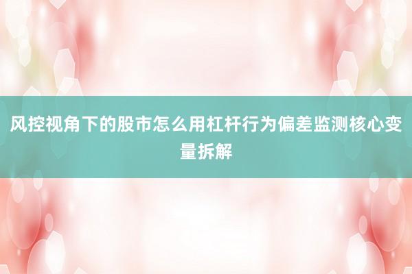 风控视角下的股市怎么用杠杆行为偏差监测核心变量拆解
