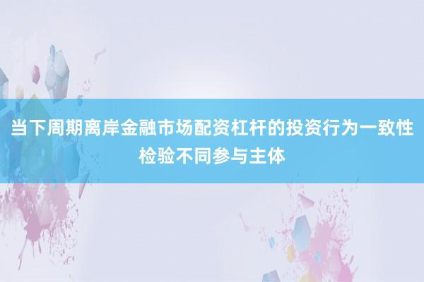 当下周期离岸金融市场配资杠杆的投资行为一致性检验不同参与主体