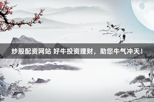 炒股配资网站 好牛投资理财，助您牛气冲天！