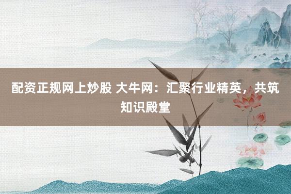 配资正规网上炒股 大牛网：汇聚行业精英，共筑知识殿堂