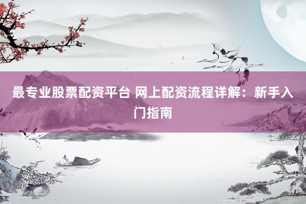 最专业股票配资平台 网上配资流程详解：新手入门指南